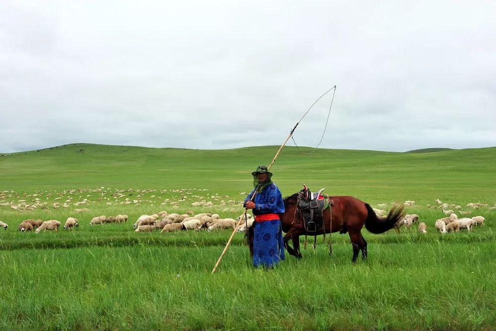 内蒙古,邂逅自然的浪漫之旅